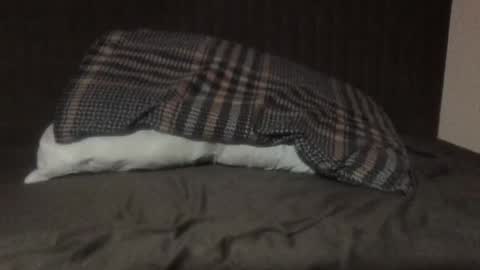 Snapshot of kiki3526 chatting on 12, 3, 2026 kiki3526 online show from 12, 3, 2026