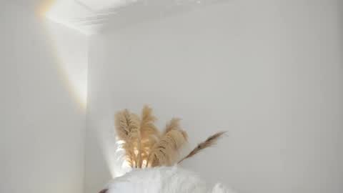 Kim Murphy online show from 18, 10, 2025