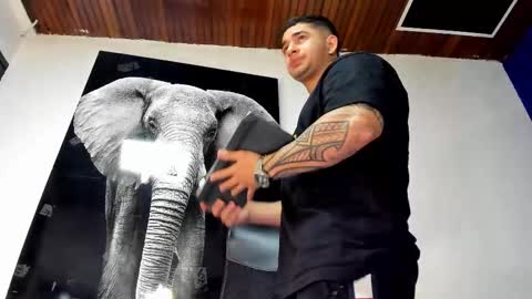 Angel Falconer online show from 2, 11, 2025