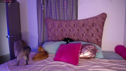 Snapshot of kinkydoll_ chatting on 11, 12, 2024 Sara online show from 11, 12, 2024