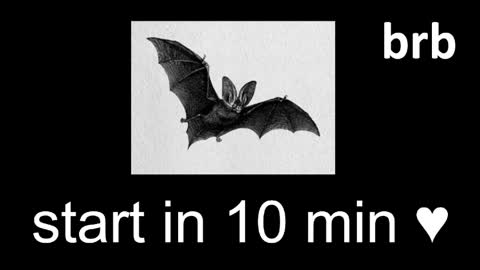 meow online show from 28, 5, 2026