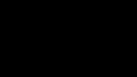 M A R A  online show from 5, 12, 2025