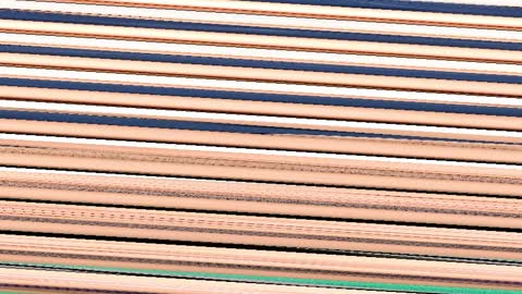 Kriss online show from 2, 4, 2026