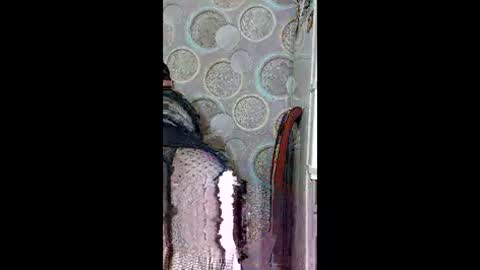 Snapshot of kissmycurvesxo chatting on 18, 5, 2026 Goddess online show from 18, 5, 2026