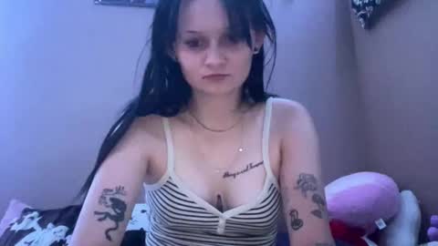 kat online show from 3, 6, 2026