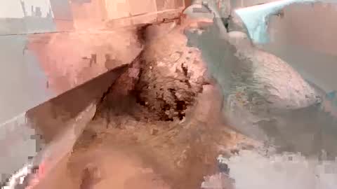 kitkatmac online show from 3, 1, 2025