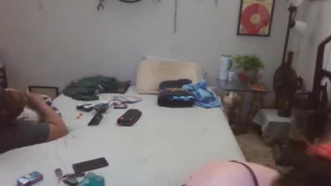 Kitten and rebellious online show from 4, 1, 2025