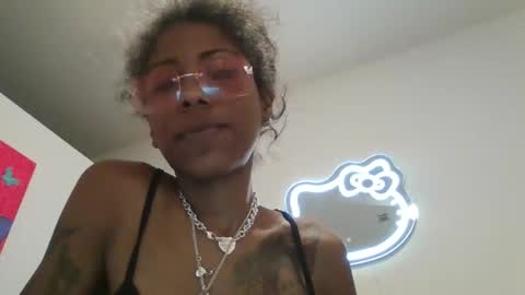 kitten404 online show from 24, 3, 2026