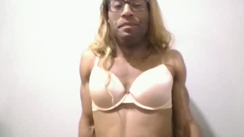 bambi online show from 11, 3, 2026