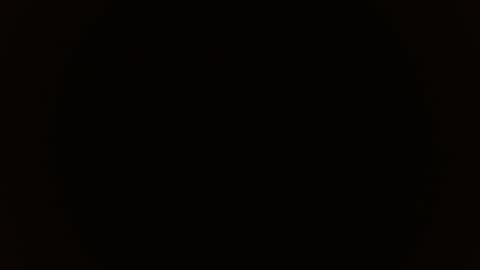 KITTY online show from 6, 11, 2025