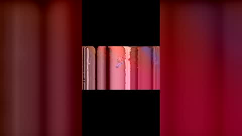 kittypurrrrry online show from 2, 3, 2026