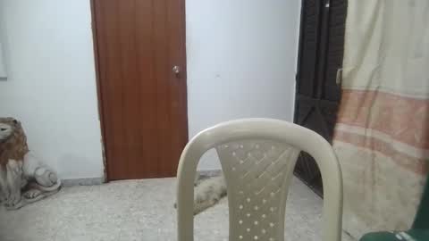 Snapshot of kitybigboobsx chatting on 15, 1, 2025 kity boobsx online show from 15, 1, 2025