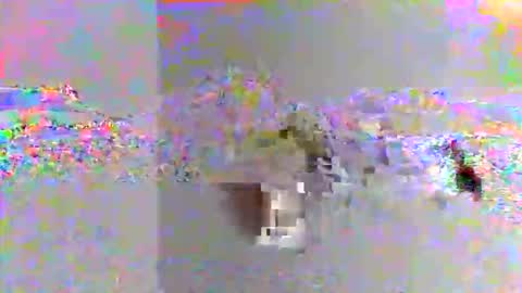 Snapshot of kjaimejimmy chatting on 8, 11, 2025 kjaimejimmy online show from 8, 11, 2025