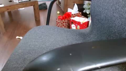 Snapshot of klok6187 chatting on 23, 12, 2024 klok6187 online show from 23, 12, 2024