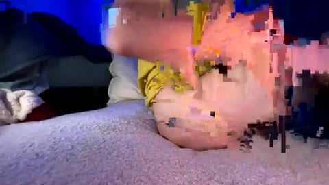 knautyknight online show from 31, 3, 2026