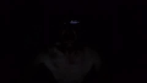 kobolt67 online show from 9, 10, 2025