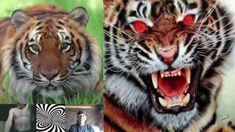 kodiakpm1 online show from 3, 12, 2024