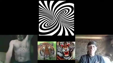 Snapshot of kodiakpm1 chatting on 30, 4, 2026 kodiakpm1 online show from 30, 4, 2026