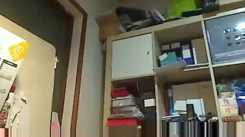 kokin3034 online show from 2, 2, 2026