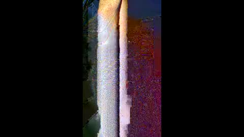 komi235 online show from 24, 2, 2026