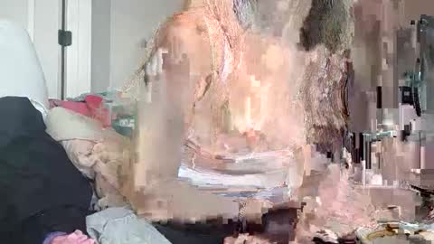 Korina online show from 16, 12, 2025