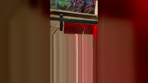 korysmith568 online show from 20, 2, 2026