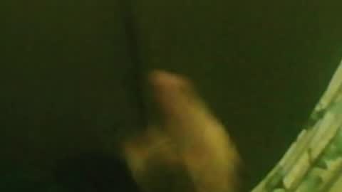 kren565656 online show from 29, 12, 2024