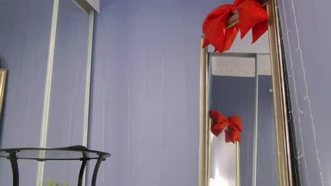 kriskras__ online show from 25, 5, 2026