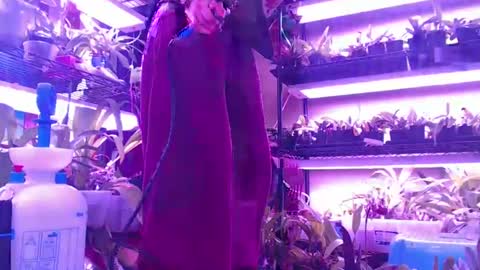 krookedorchid online show from 30, 10, 2025