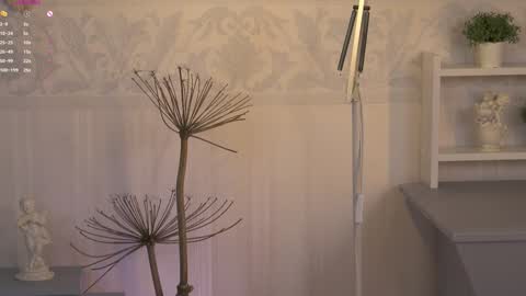 Snapshot of kseha_cute chatting on 6, 2, 2025 Ksesha online show from 6, 2, 2025