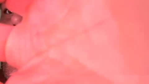 Snapshot of kylegotittt chatting on 2, 11, 2025 Hotbody545 online show from 2, 11, 2025