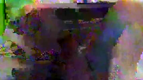 kylevogt2024 online show from 14, 4, 2026