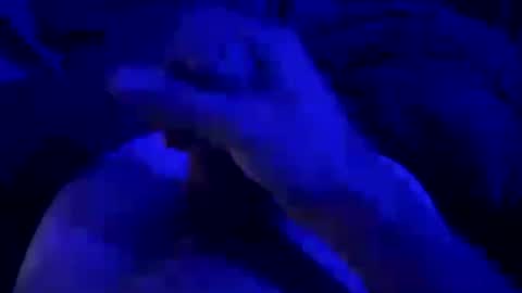 Snapshot of kyool chatting on 25, 7, 2026 kyool online show from 25, 7, 2026