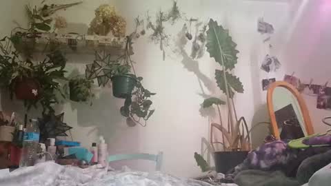 Snapshot of lacybell chatting on 24, 12, 2024 lacybell online show from 24, 12, 2024