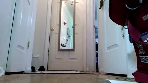 Snapshot of lacybell chatting on 8, 1, 2025 lacybell online show from 8, 1, 2025