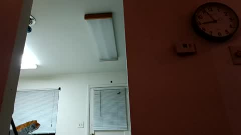 Snapshot of lacybell chatting on 14, 1, 2025 lacybell online show from 14, 1, 2025