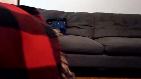 Snapshot of lacybell chatting on 7, 2, 2025 lacybell online show from 7, 2, 2025