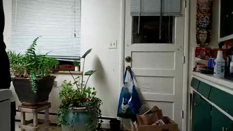 Snapshot of lacybell chatting on 15, 2, 2025 lacybell online show from 15, 2, 2025