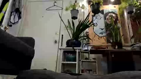 Snapshot of lacybell chatting on 19, 2, 2025 lacybell online show from 19, 2, 2025