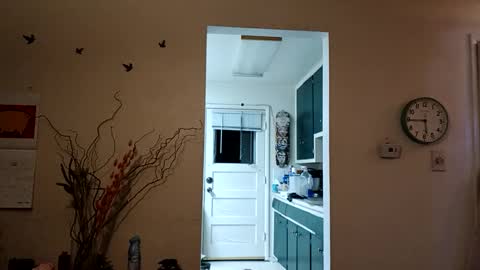 Snapshot of lacybell chatting on 8, 3, 2025 lacybell online show from 8, 3, 2025