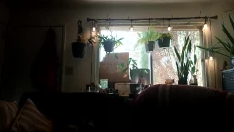 Snapshot of lacybell chatting on 21, 9, 2025 lacybell online show from 21, 9, 2025