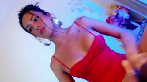 Stella online show from 11, 12, 2024