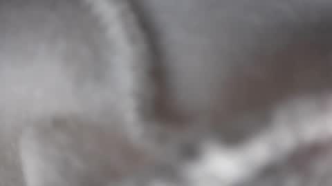 Snapshot of ladybughug chatting on 17, 12, 2024 hugbug online show from 17, 12, 2024