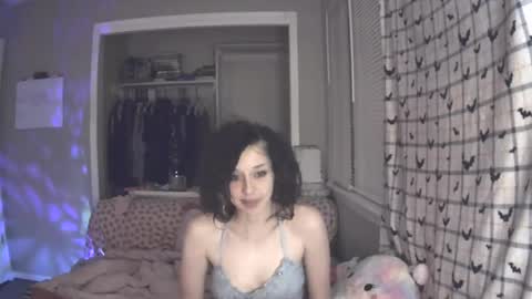 Snapshot of ladybughug chatting on 18, 12, 2024 hugbug online show from 18, 12, 2024