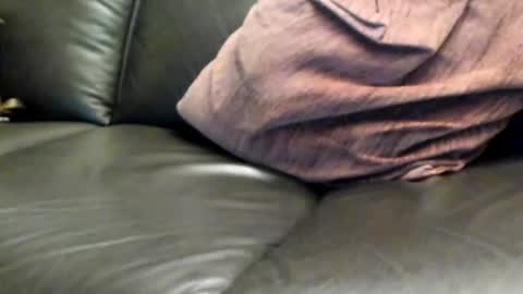 Snapshot of ladyloverwithcock chatting on 8, 3, 2025 tomtom online show from 8, 3, 2025