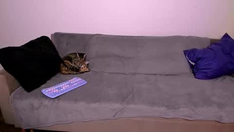 LadyTrep online show from 31, 1, 2026