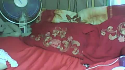 Snapshot of ladyxsnakes chatting on 21, 1, 2025 LadyXSnakes online show from 21, 1, 2025