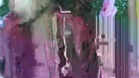 Snapshot of ladyxsnakes chatting on 21, 9, 2025 LadyXSnakes online show from 21, 9, 2025