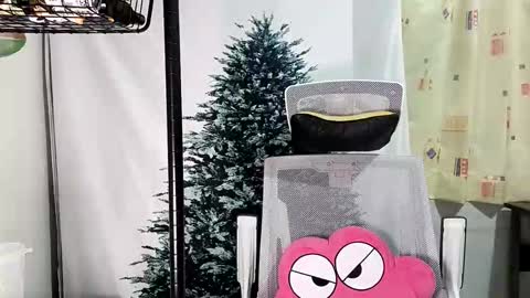 lailai6699 online show from 12, 9, 2025