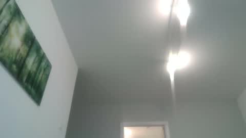 Snapshot of lambiants chatting on 5, 11, 2025 lambiants online show from 5, 11, 2025